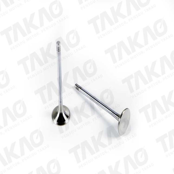 Valvula de Escape (cada) - BMW 4.0/4.4L 32V M60/M62 540