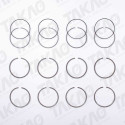 Anel (JG) - Citroen/Fiat/Peugeot 2.3L 16V DOHC Boxer,Ducato Multjet Jumper Diesel