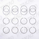 Anel (JG) - Citroen/Fiat/Peugeot 2.3L 16V DOHC Boxer,Ducato Multjet Jumper