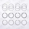 Anel (JG) - Citroen/Fiat/Peugeot 2.8L 8V SOHC Boxer, Ducato  Jumper Diesel