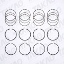 Anel (JG) - Citroen/Peugeot 1.6/1.8/1.9L  405, Berlingo, Xsara Gasolina