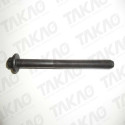 Parafuso de Cabeçote (JG) - Citroen/Peugeot 2.0L 16V EW10J4 307,407,C4,Picasso Flex/Gasolina