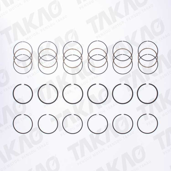 Anel (JG) - Audi/Volkswagen 2.8/3.0L 12/30V V6 A4,A6,A8,A80,Passat Variant Gasolina