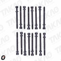 Parafuso de Cabeçote (JG) - Audi/Volkswagen 2.8/3.0L 30V V6 A4,A6,A8,A8 até 01 Gasolina