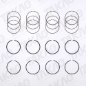 Anel JG Ford 2.0/2.3L 16V DOHC Focus