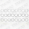 Anel (JG) - VW Touareg 4.2L 32V V8 após 07 Gasolina