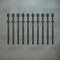 Parafuso de Cabeçote (JG) - Ford/Troller 3.0L 16V L4 motor MWM Power Stroker Troller