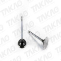 Valvula de Escape (cada) - GM/Nissan/Troller 2.8L 12V MWM Sprint Diesel