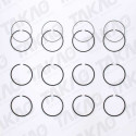 Anel (JG) - GM/Suzuki 2.0L 8V SOHC RHZ Tracker,Grand Vitara Diesel/Turbo