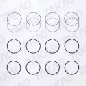 Anel (JG) - Renault 2.5L 16V DOHC Master DCI após 05 Diesel/Turbo