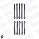 Parafuso de Cabeçote (JG)-1.6L 8V K7M Clio, Megane