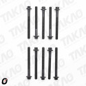Parafuso de Cabeçote (JG) - Renault 2.3L 16V M9TD Master após 10 Diesel/Turbo