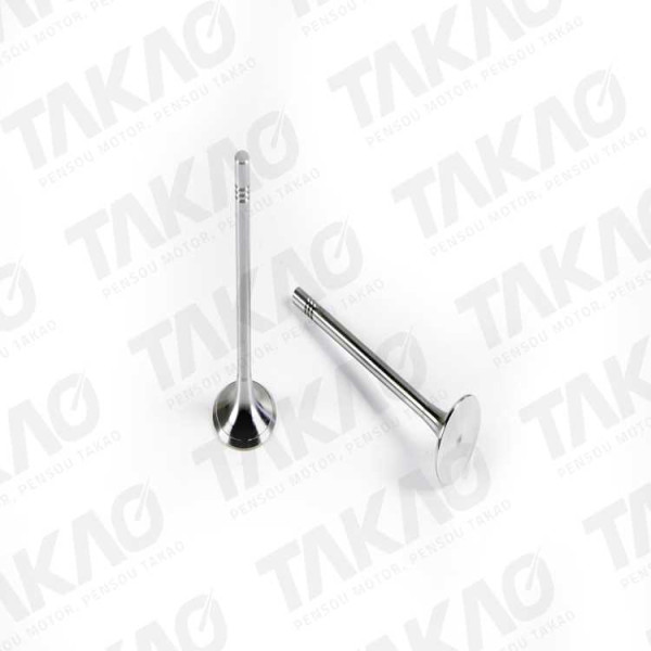 Valvula de Admissão (cada)-2.0L 16V L4 DOHC Amarok após 10