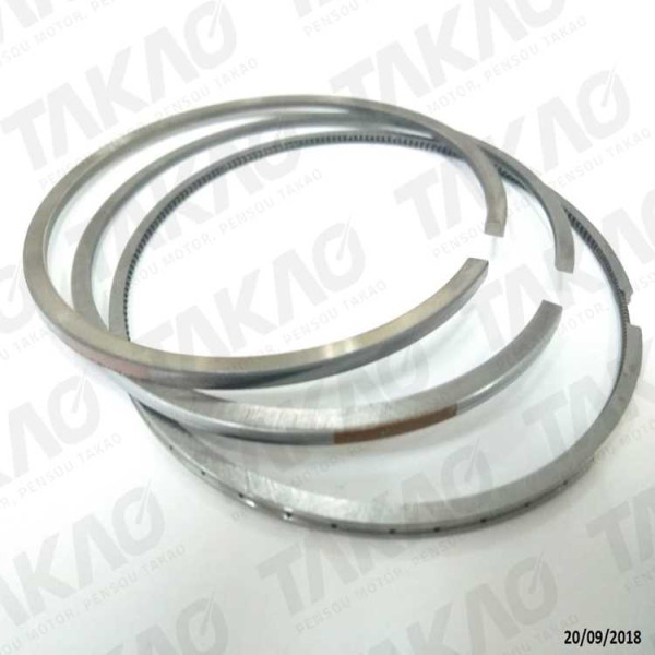 Anel (JG) - Nissan 2.3L 16V DOHC M9T Frontier