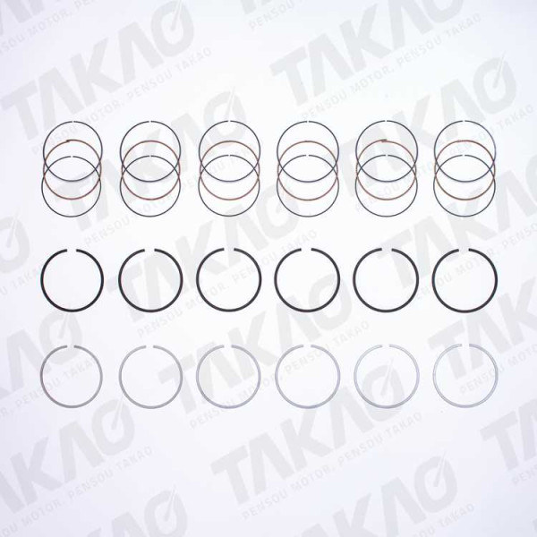 Anel (JG) - Nissan 3.5/4.0L 24V V6 Altima, 350Z, Maxima Murano, Pathfinder