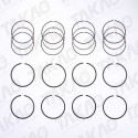 Anel (JG) - Mazda 1.8L 16V DOHC  MX5, Protege Gasolina