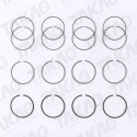 Anel (JG) - Ford 2.8L 8V Maxion Power F1000, Ranger HS HS Power Stroke