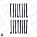 Parafuso de Cabeçote (JG) - Hyundai/Kia 3.0/3.3/3.5/3.8L 24V Azera,Cadenza Mohave,Sorento