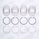Anel (JG) - Honda 2.3L 16V F23A1/A4/A5 Accord  98 até 02 Gasolina