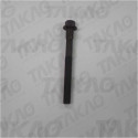 Parafuso de Cabeçote (JG) - Ford 1.0L 8V Endura/EFI Fiesta,KA  95 até 99 Gasolina