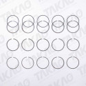 Anel JG Fiat 2.4L 20V L5 DOHC Marea após 00 Stilo após 03
