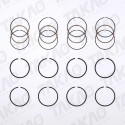 Anel (JG) - Ford 2.0L 16V DOHC Zetec Focus, Mondeo Gasolina