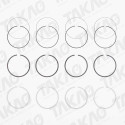 Anel JG Ford/Land Rover 2.4L 16V Duratorq Transit
