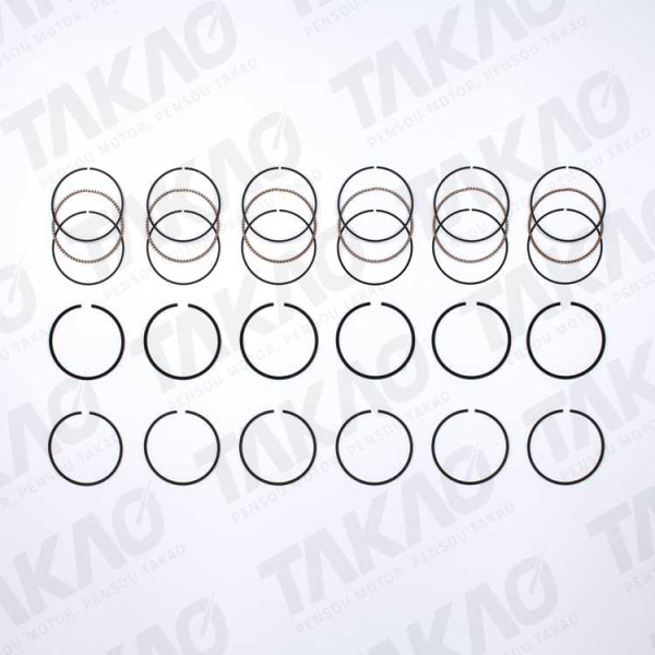 Anel (JG) - Ford 3.8/4.2L V6 Mustang Taurus, Thunder Bird F250, Windstar Wagon