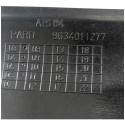  Friso Porta Traseira Direita 307 2005 2014