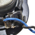 Alto Falante Byd Dolphin Mini 2024 2025