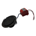 Alto Falante Byd Dolphin Mini 2024 2025