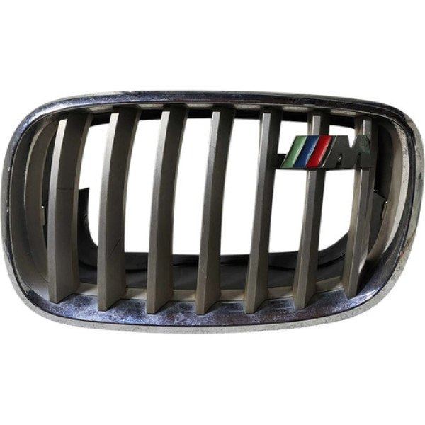 Grade Diant Esquerda Bmw X5 E70 2007/2013 7157687 Original Cinza Fosco