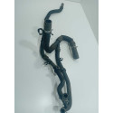 .mangueiras Do Radiador Ford Ecosport 1.5 2021 Original