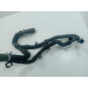 .mangueiras Do Radiador Ford Ecosport 1.5 2021 Original