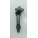 Bobina Ignição Chevrolet Captiva V6 3.6 12618542