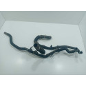 .mangueiras Do Radiador Ford Ecosport 1.5 2021 Original