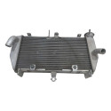 Radiador Mt03 Yzf R3 2015 A 2020 C/recuperado