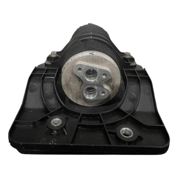 Filtro Secador Byd Dolphin Plus 2024 - 2025