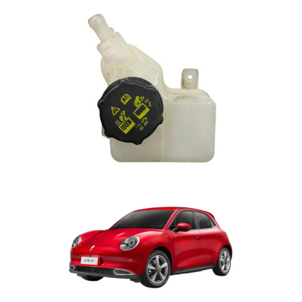 Reservatorio Agua Radiador Gwm Ora 03 Skin Gt 2023 2026