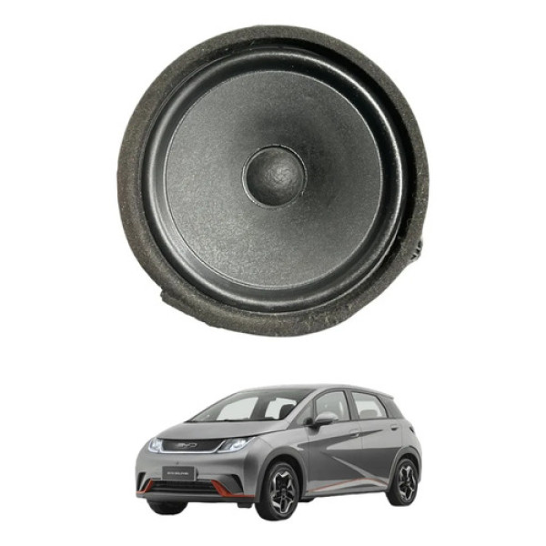 Auto Falante De Porta Byd Dolphin Plus 2023 A 2026 Preto