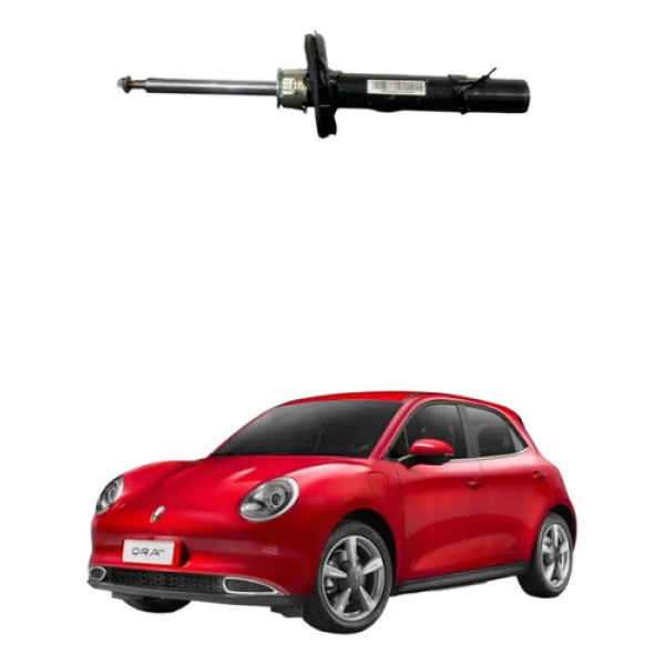 Amortecedor Dianteiro Esquerdo Gwm Ora 03 Skin Gt 2023 2026
