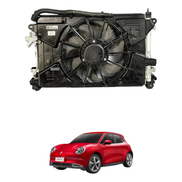 Kit Radiador Gwm Ora 03 Skin 2023 A 2026 Preto