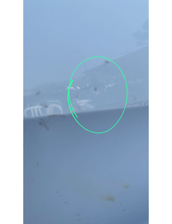 Porta Traseira Direita Peugeot 308 2011 A 2019 / Detalhe Traseira Direita Branco