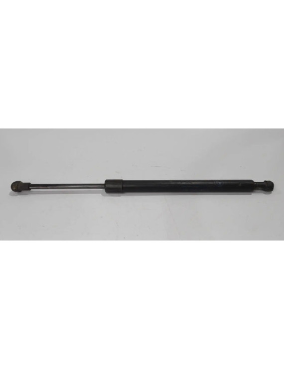 Amortecedor Esquerdo Tampa Traseira Bmw 318i 2006 - 2012