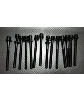 Kit Parafusos Do Cabecote Nissan 350z V6 2009 Kit Parafusos Do Cabecote Nissan 350z V6 2009