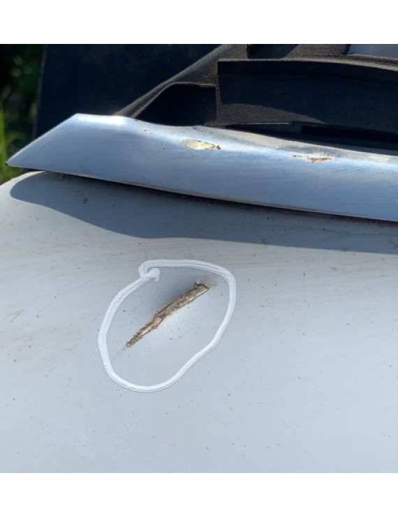 Porta Dianteira Esquerda Audi A5 2012 - 2015 Dianteira Esquerdo Branco