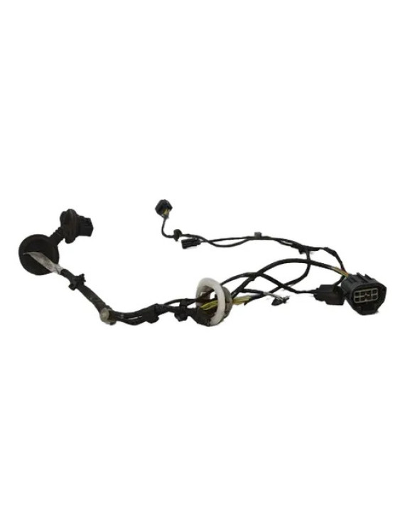 Chicote Porta Traseira Direita Ford Focus 2000 - 2008