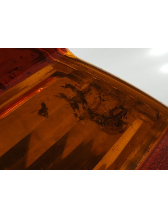 Lanterna Direita Bmw 320i 2002 2003 2004 2005 Detalhe Direito/passageiro Vermelho