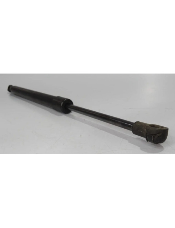 Amortecedor Esquerdo Tampa Traseira Bmw 318i 2006 - 2012