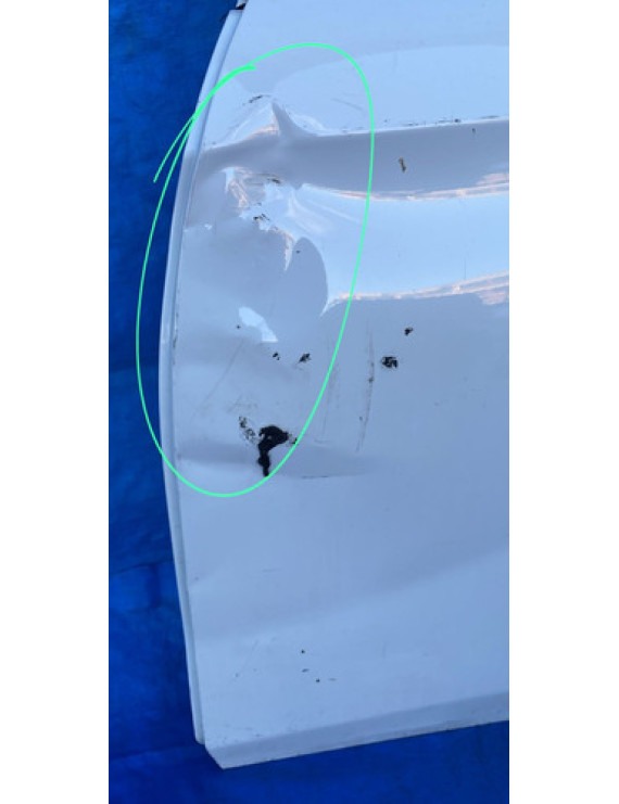 Porta Traseira Esquerda Bmw X1 2009 - 2015 / Detalhe Traseira Esquerdo Branco